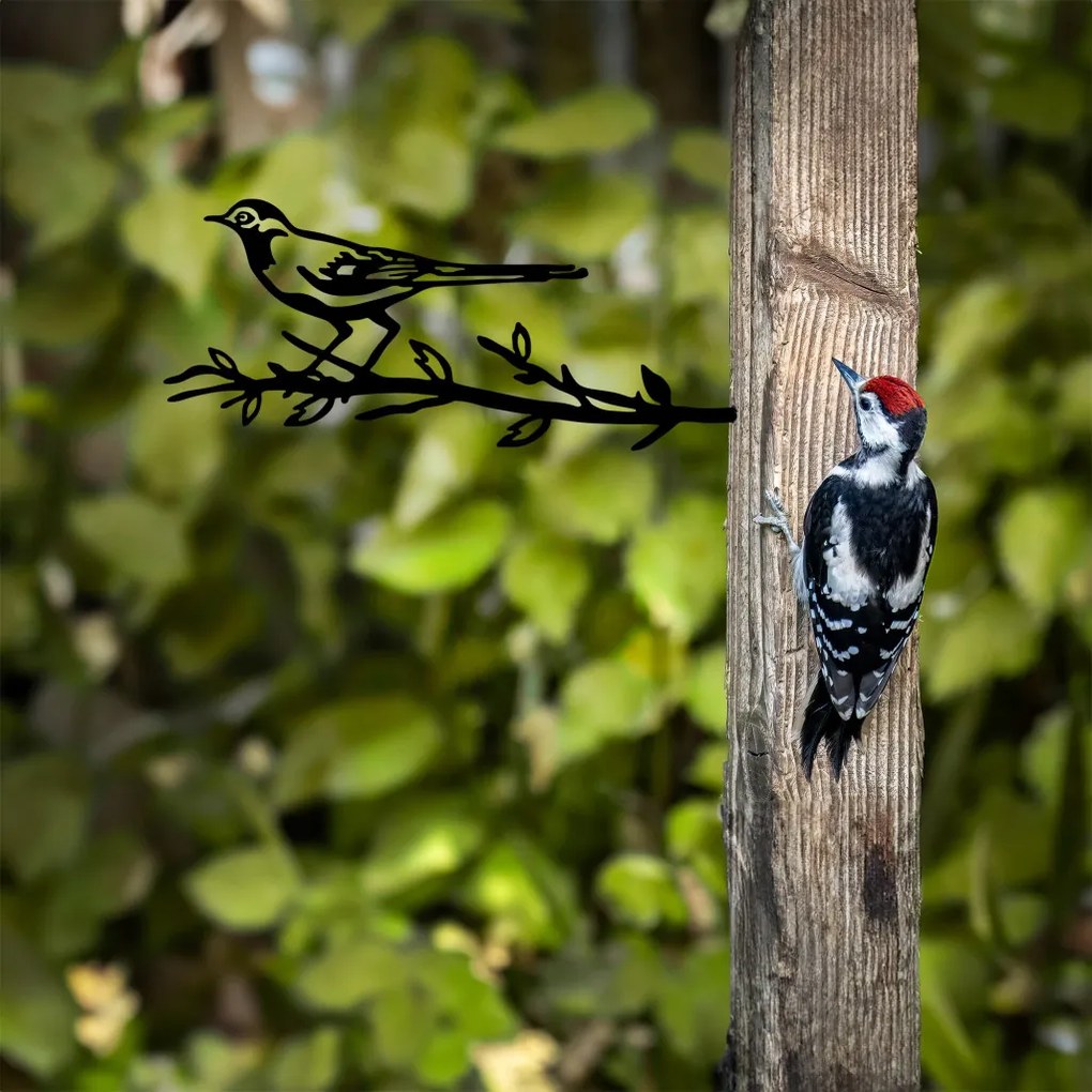 Bird fém kerti dísztárgy, fekete, 50×20 cm – TR565TNL1303