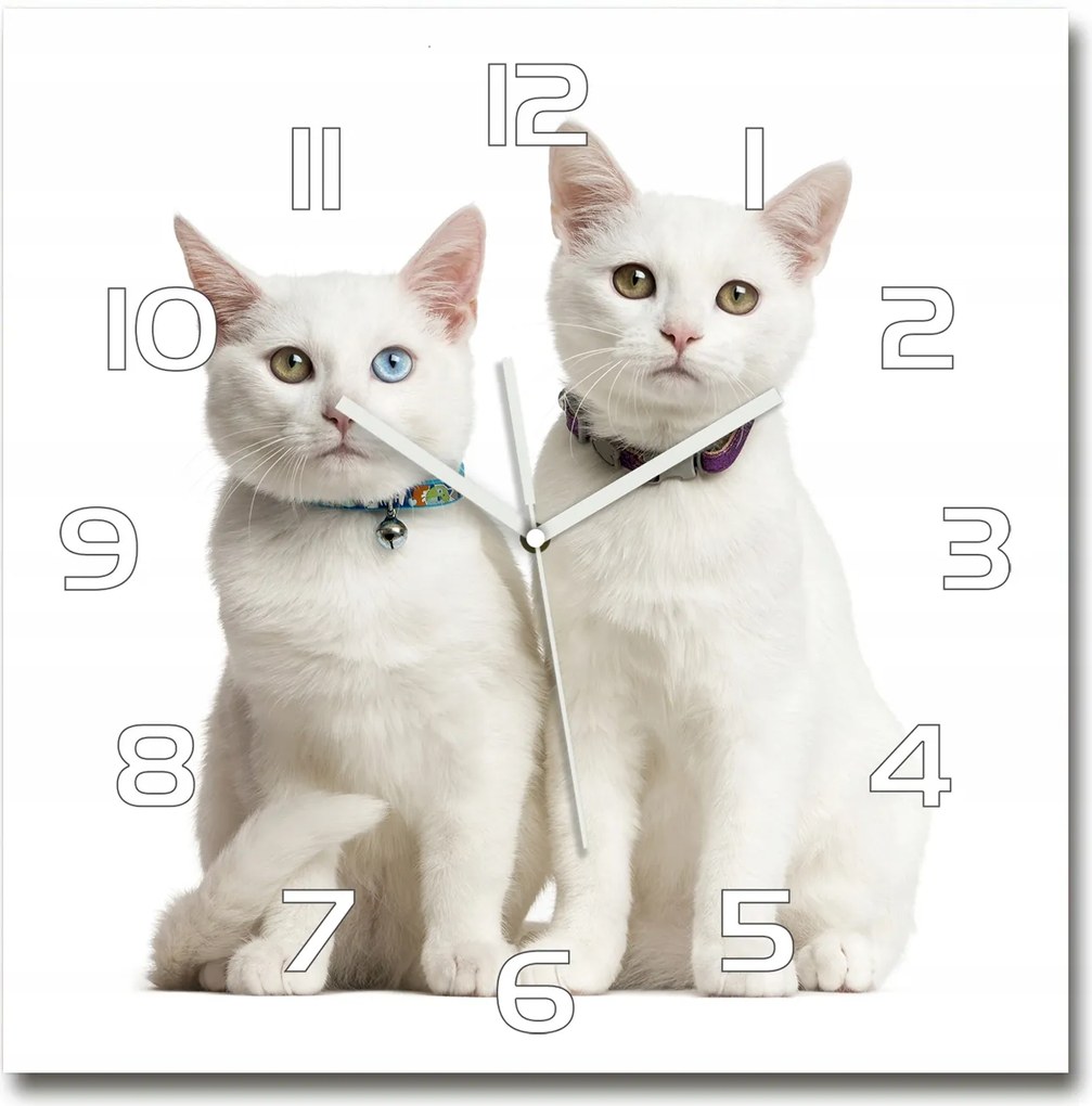 Nagy négyzet alakú üveg falióra Fehér macskák 60x60 cm