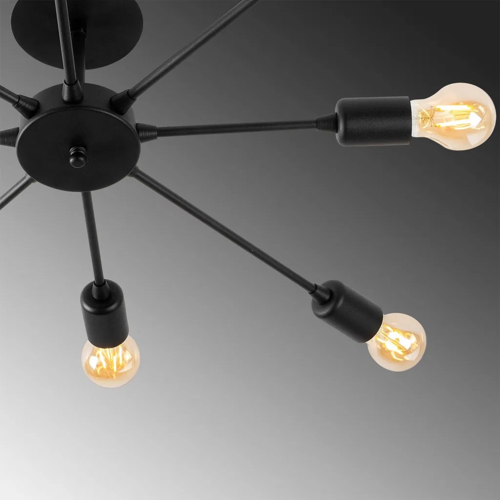 Ray - 1132
