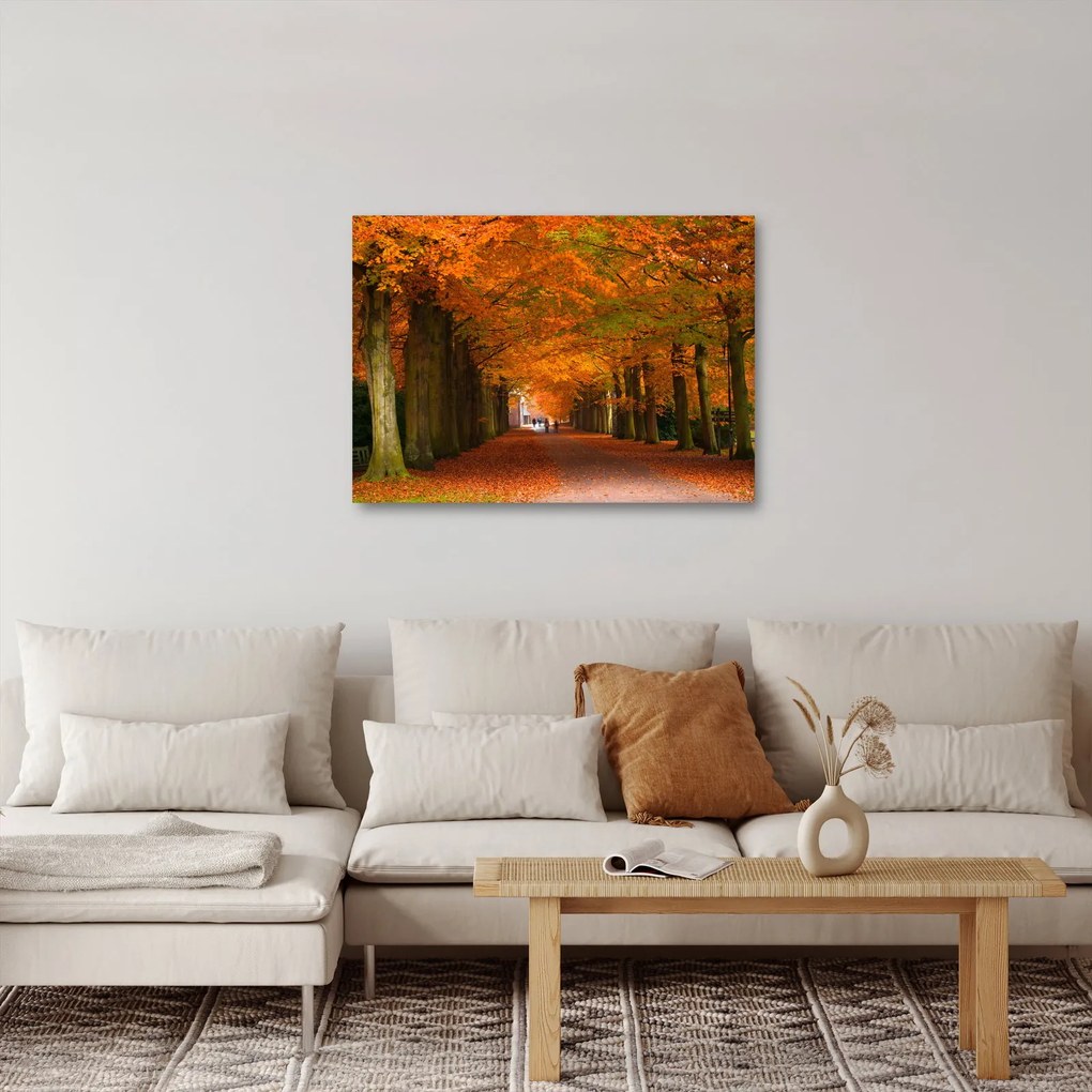 Kép - A Avenue of fák ősszel (70x50 cm)
