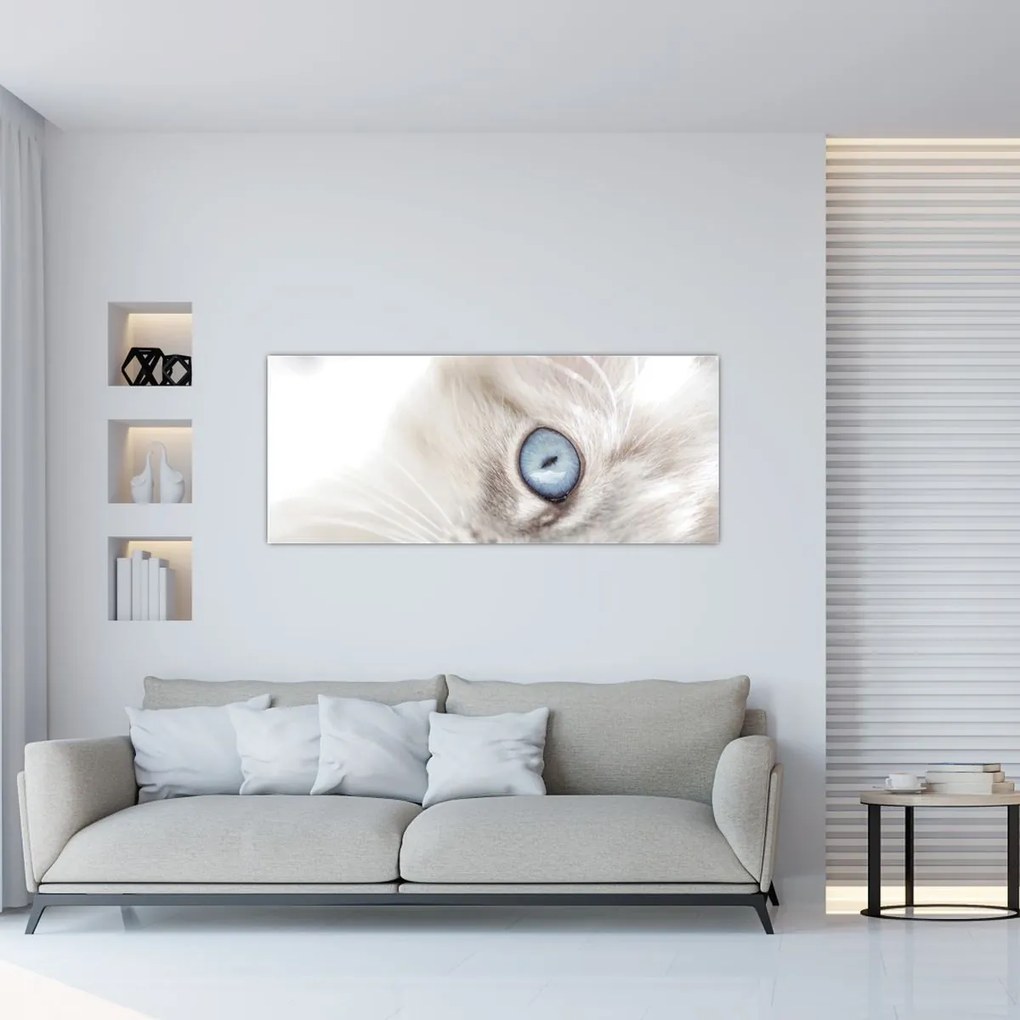 Kép - Kék szemű macska (120x50 cm)