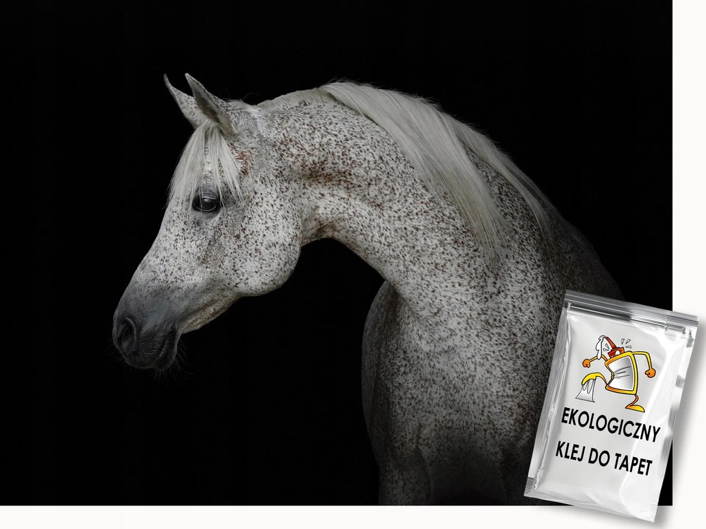 Fotótapéta Flizelina Elegáns Ló Fehér Szürke Paripa 100x75 ragasztó