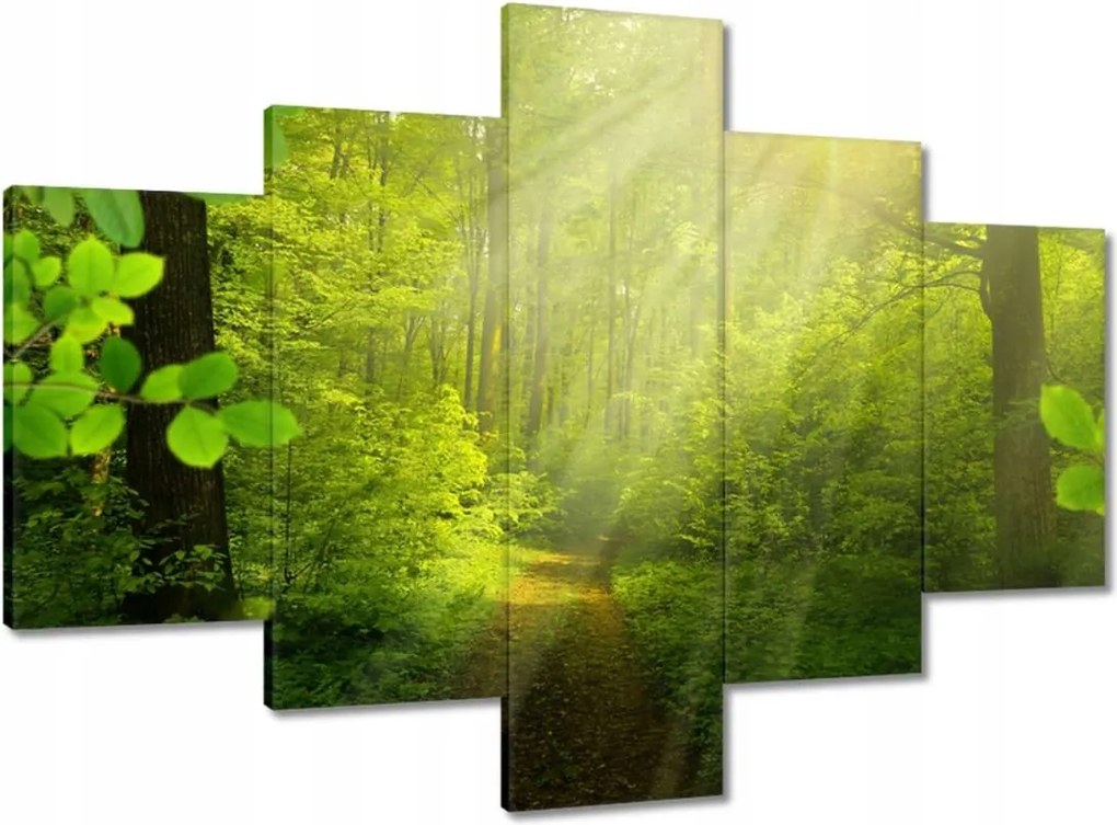 Vászonkép 100x70 Varázslatos erdő Sugárzás