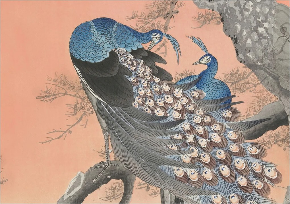 Stílusos Dekoratív Fotótapéta Páva elegancia 208x146 Ragasztó