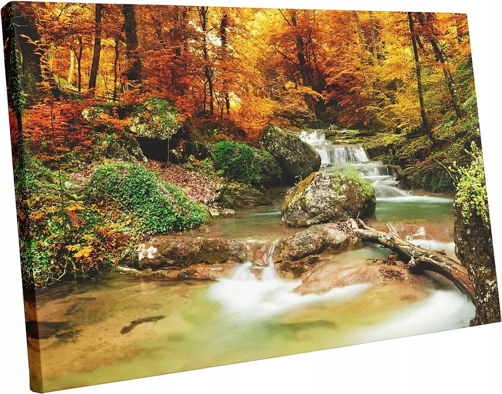 Vászonkép erdő fák patak modern falra 70x50