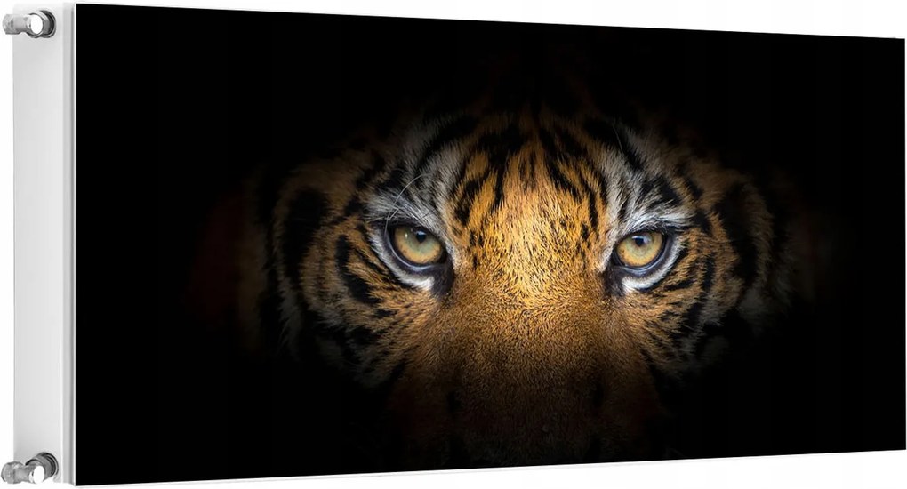 Mágneses Radiátorszőnyeg 120x60 Tigris Fotótapéta