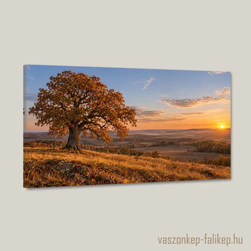 Őszi aranyóra falikép – meleg tájhangulat 40x23 cm