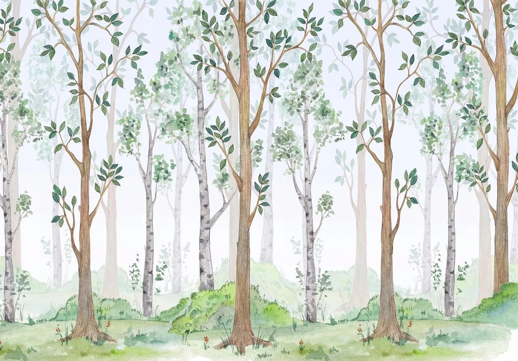 Fotótapéta Erdő Pálcák Fák levelek 368 x 254