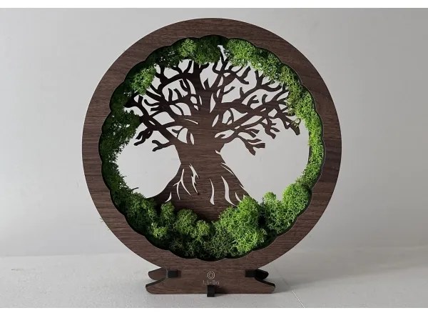 Li-Go 23631/DUB2 - LED dimmelhető asztali dekoráció LED/12W/230V 30x31 cm tölgy