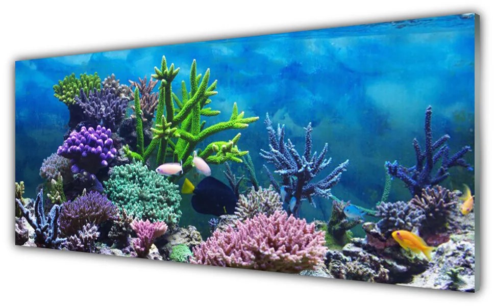 Üvegkép Akváriumi halak a víz alatt 120x60cm