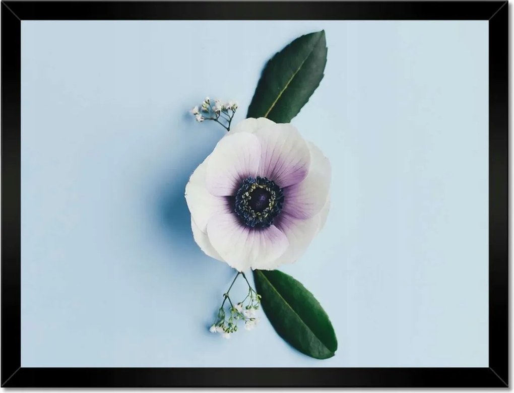 Poszterek keretben 40x30 Magányos virág