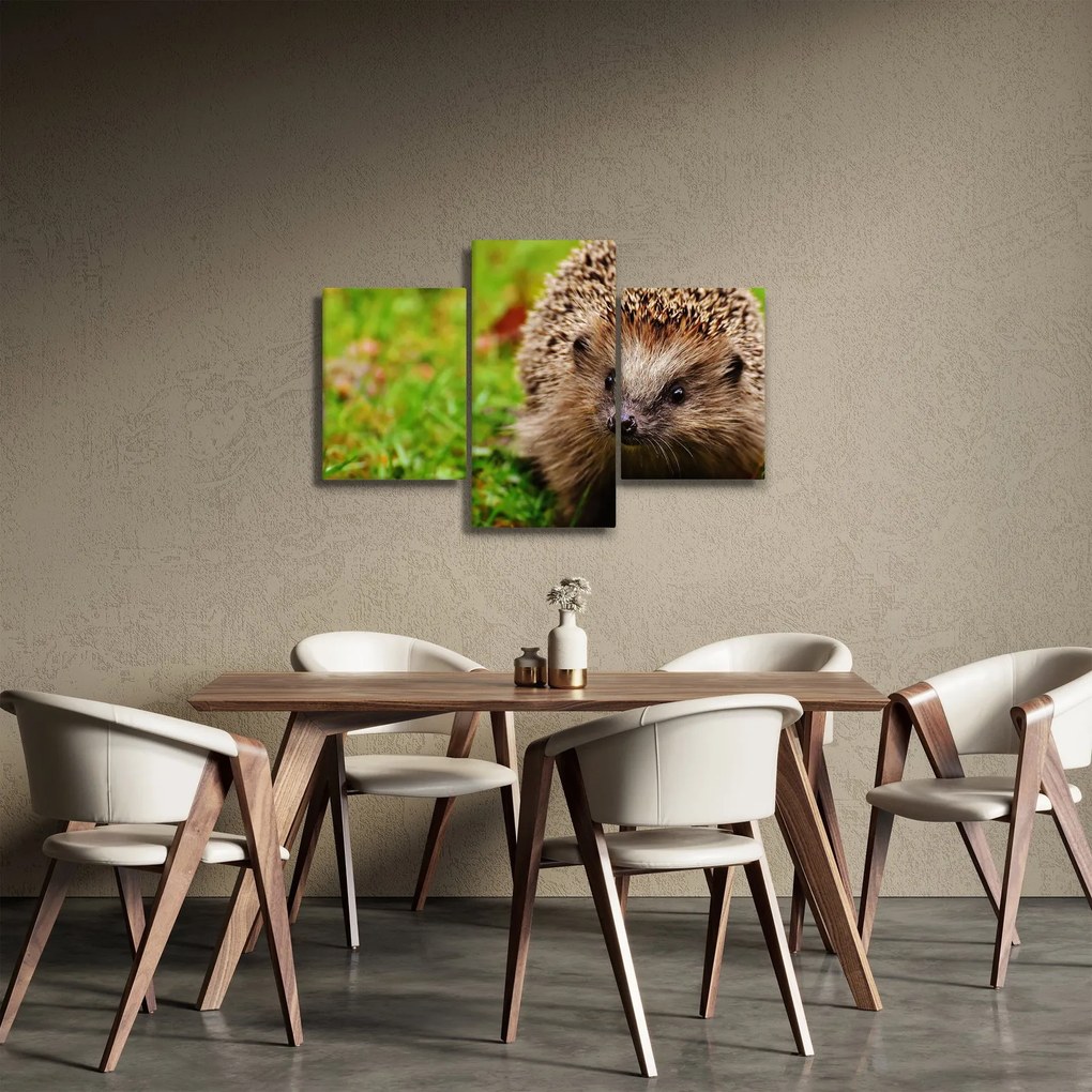 Sündisznó képe (90x60 cm)