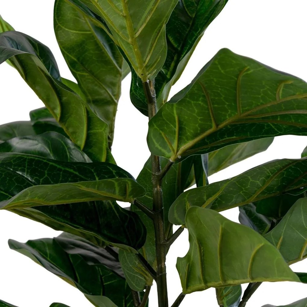 Műnövény, lantlevelű fikusz, 100 cm - FICUS