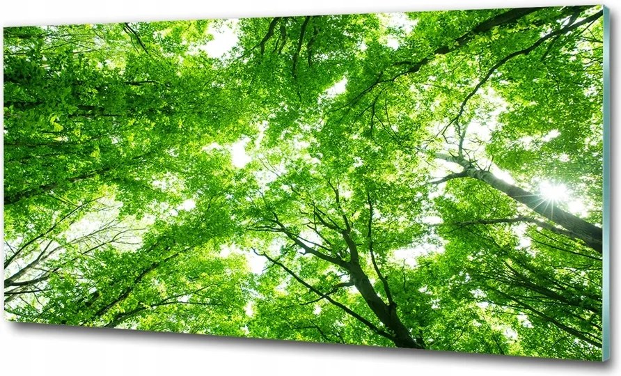 Fotó vászonkép edzett üveg Zöld erdő 140x70