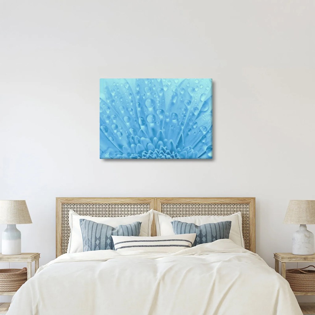 Kép - Makro felvétel egy virágról (70x50 cm)
