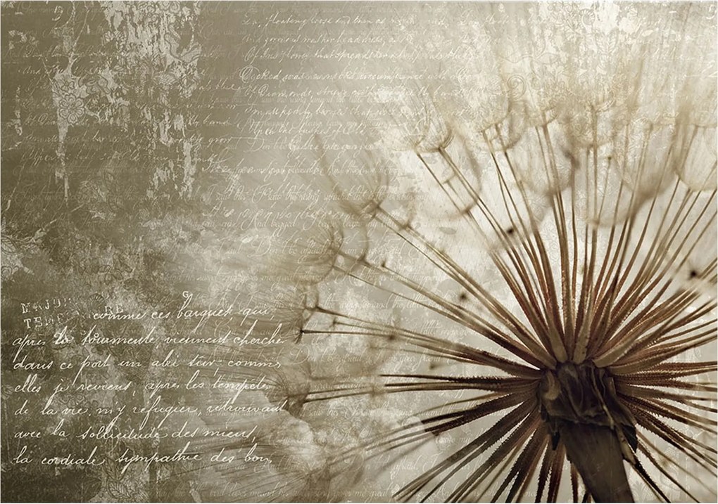 Fotótapéta Pitypang finomság vintage makró pasztell vinil 208x146 +ragasztó