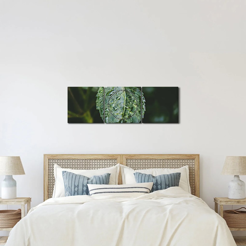 Kép - cseppek a levelen (órával) (90x30 cm)