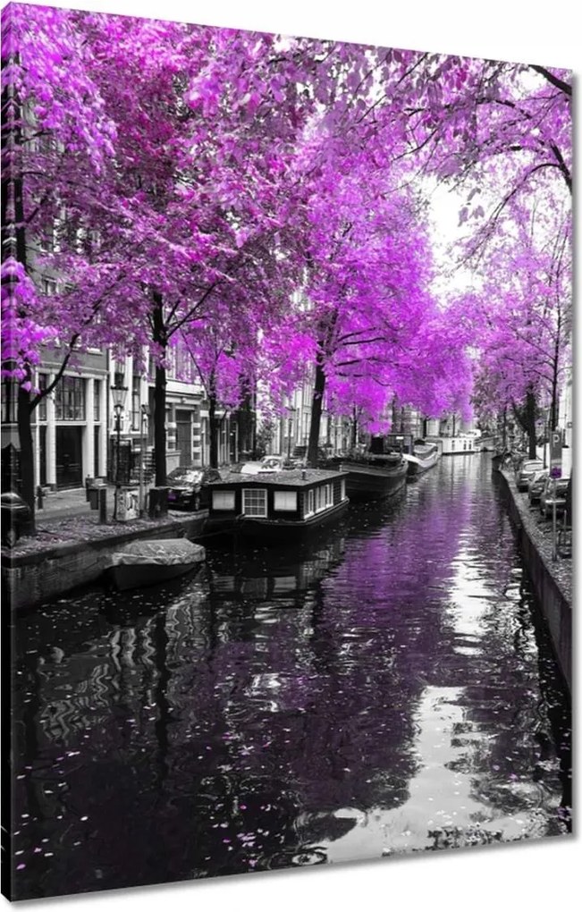 Vászonkép 60x80 Holland tájkép Folyó Ams