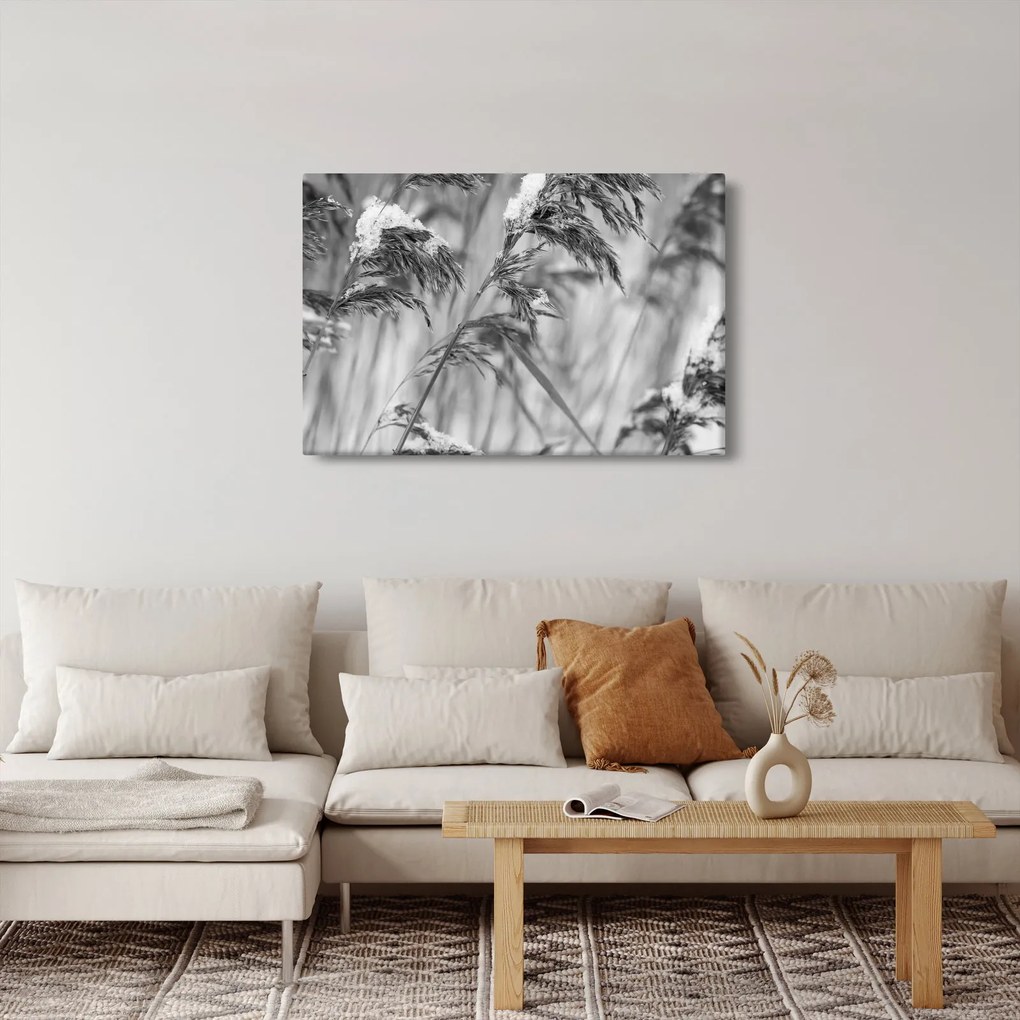 Kép - Lipnica, fekete-fehér (90x60 cm)