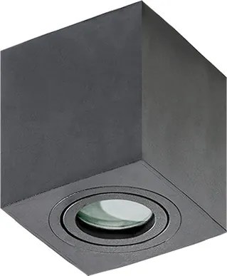 Fürdőszoba Mennyezet Lámpa Fekete Brant AZZARDO-2878