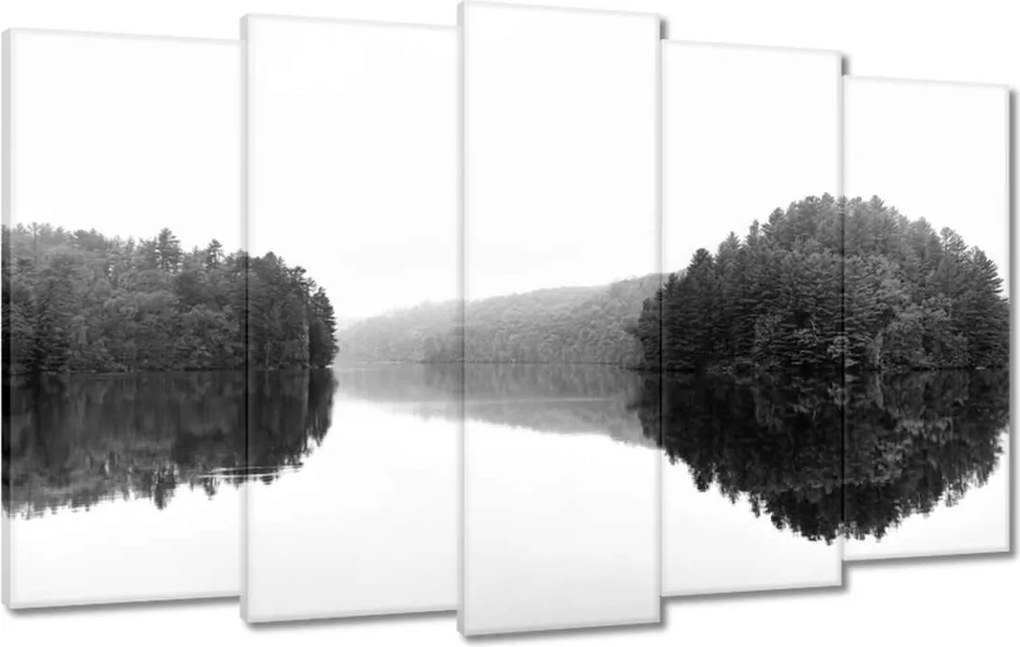 Vászonkép 100x60 Tó sziget Fekete
