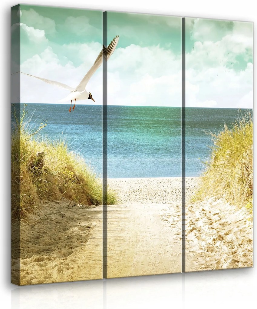 Vászonkép 90x100 Tengeri táj tengerpart tenger ég felhők nyár nyugalom természet