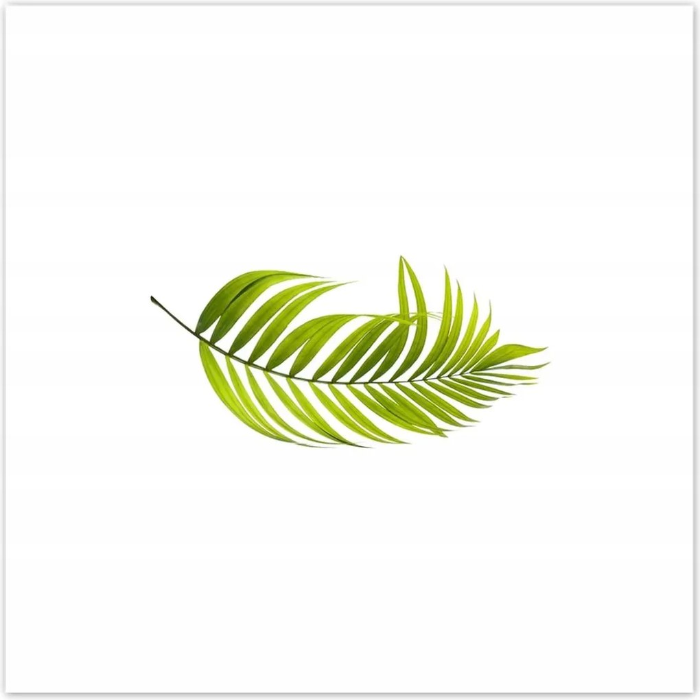 Poszterek 100x100 Zöld levél Minimalizmus