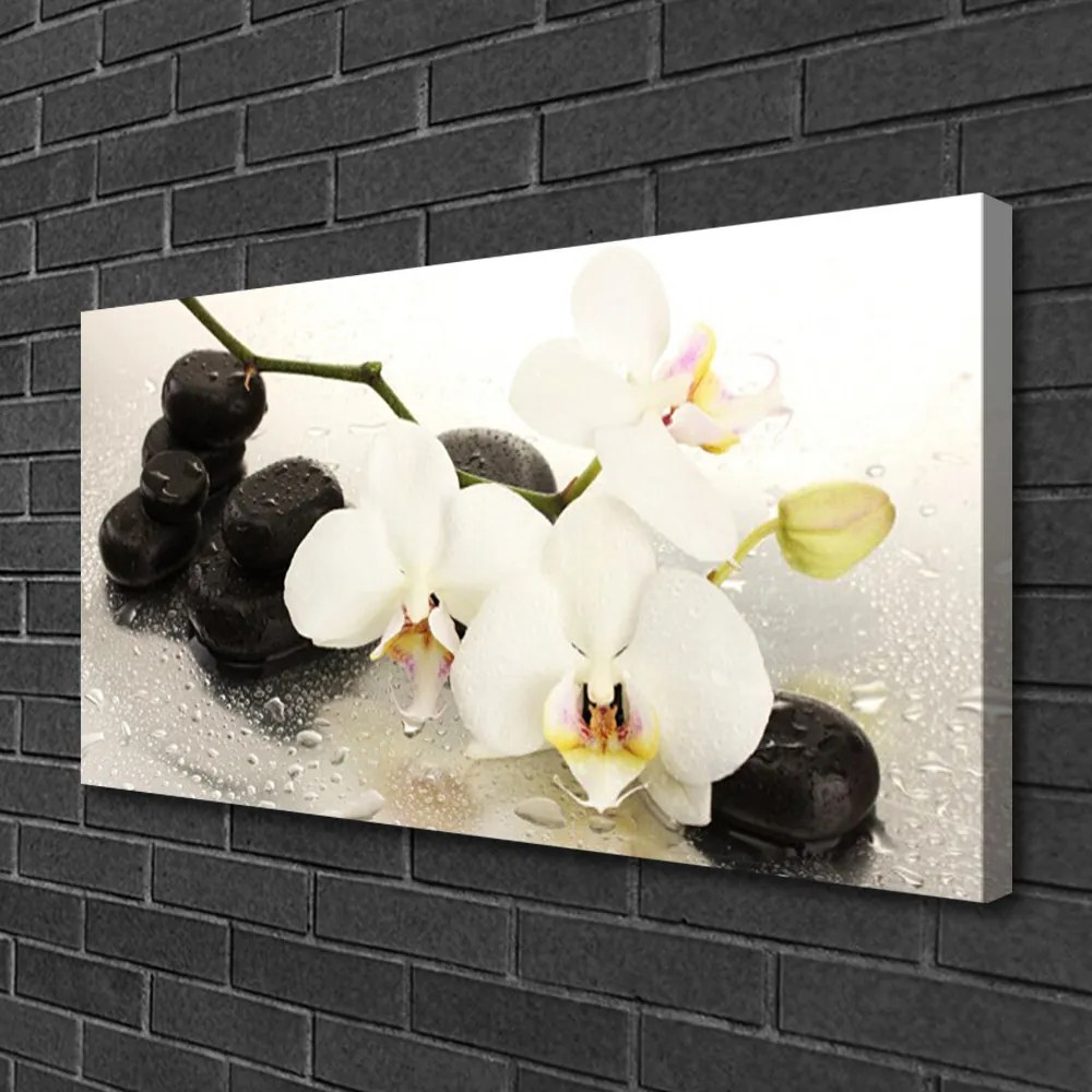 Vászonkép falra Szép virág orchidea 100x50 cm