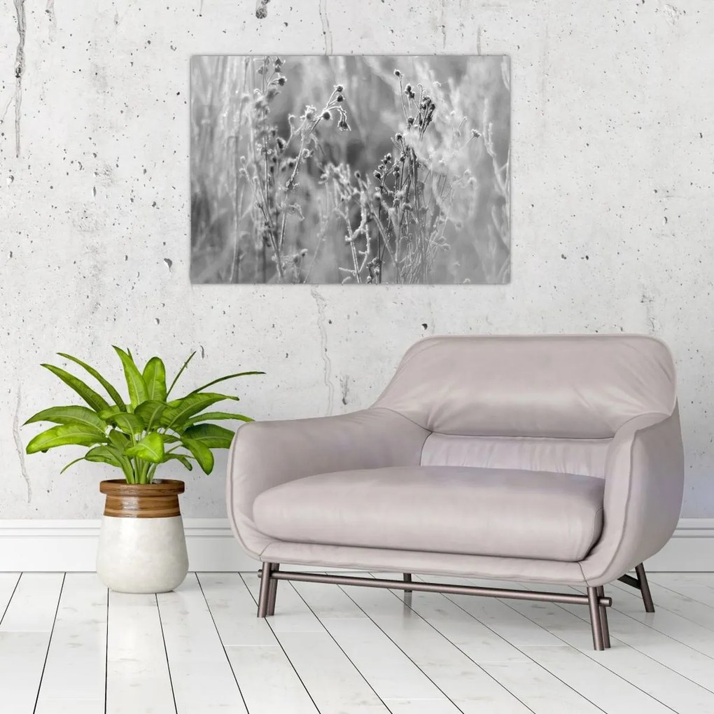 Üveg kép - Wild Meadow (70x50 cm)