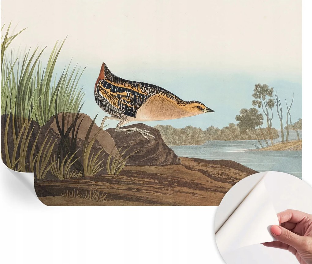 Dekoratív Öntapadós Tapéta Divatos Minták Természetes jelenet 152x104 cm