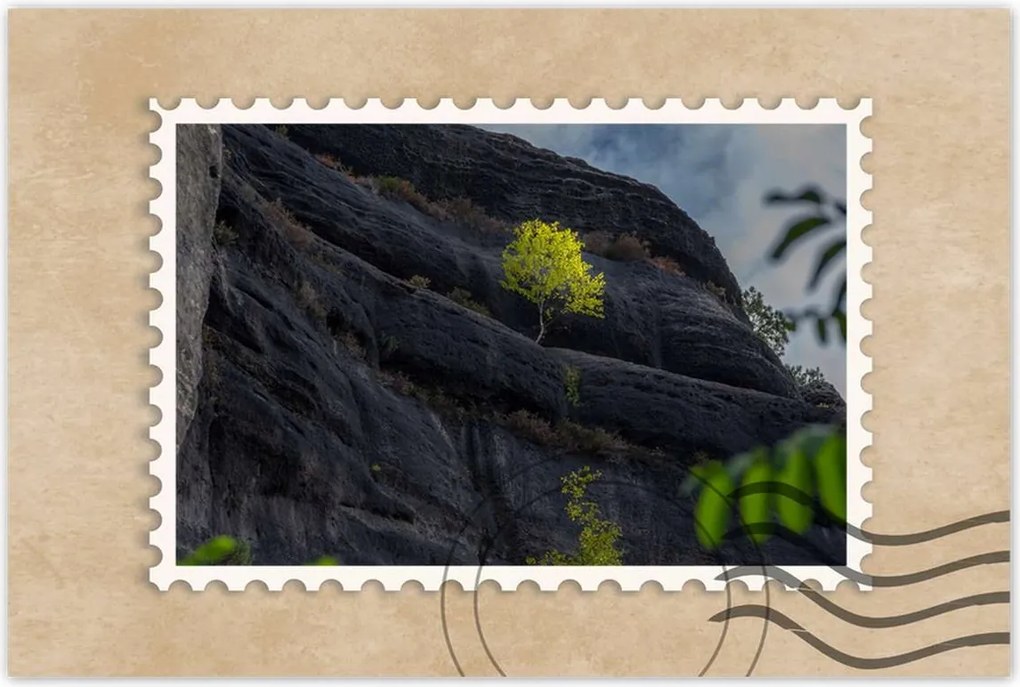 Poszterek 90x60 Fa Kilátás