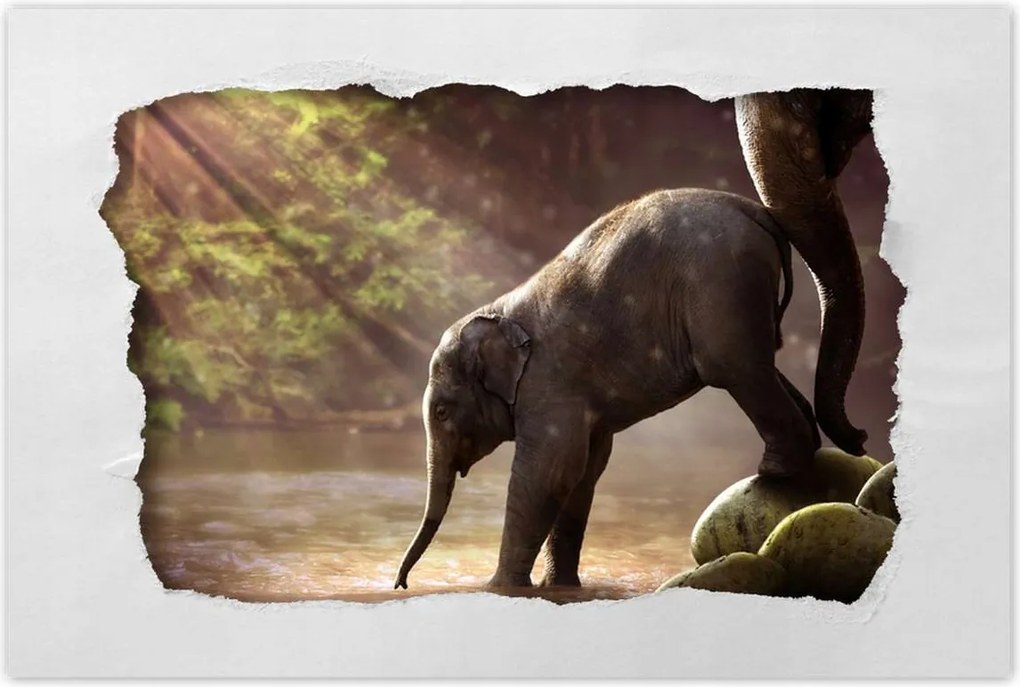 Poszterek 90x60 Anyai szeretet