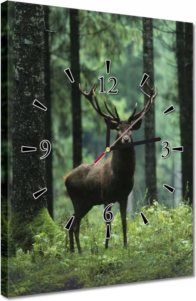 Falióra 30x40 Szarvas az erdő közepén