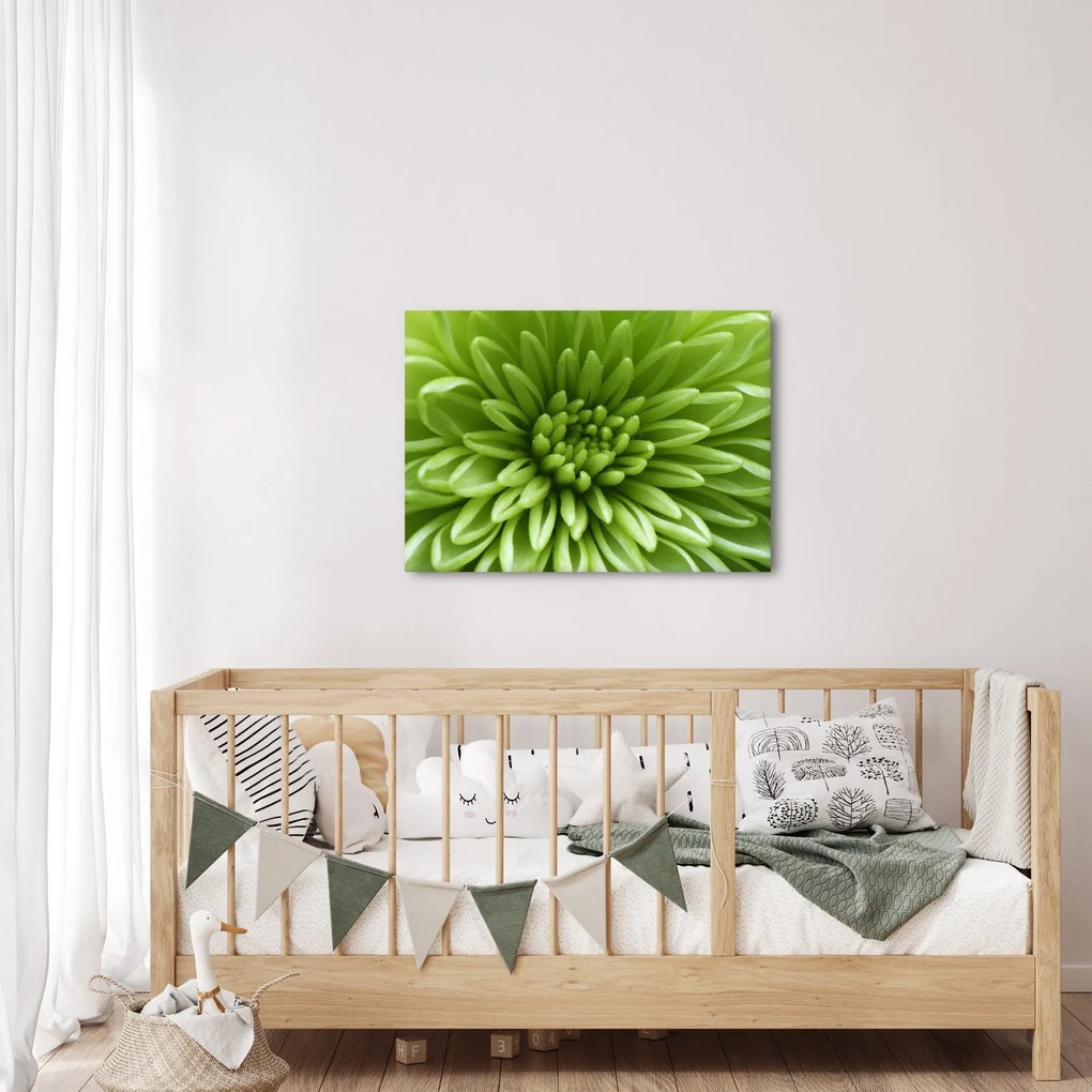 Kép - Makro kép egy növényről (70x50 cm)