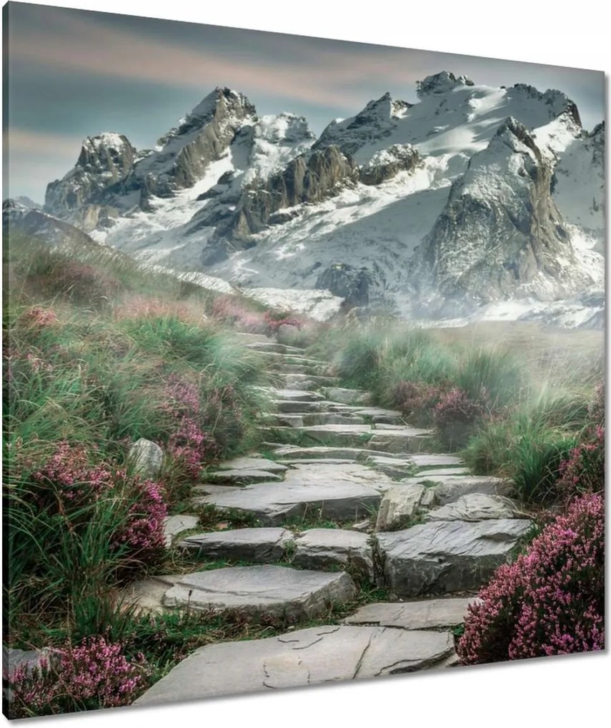 Vászonkép 90x90 Hegyi kilátás Tájkép Köd