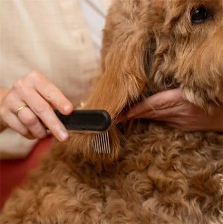Kisállat kefe, széles fogú, FISKARS PetCare (IF2009134)