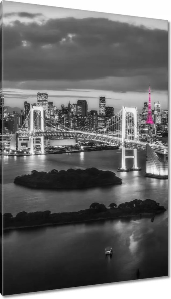 Vászonkép 80x120 Rózsaszín Eiffel-torony híd