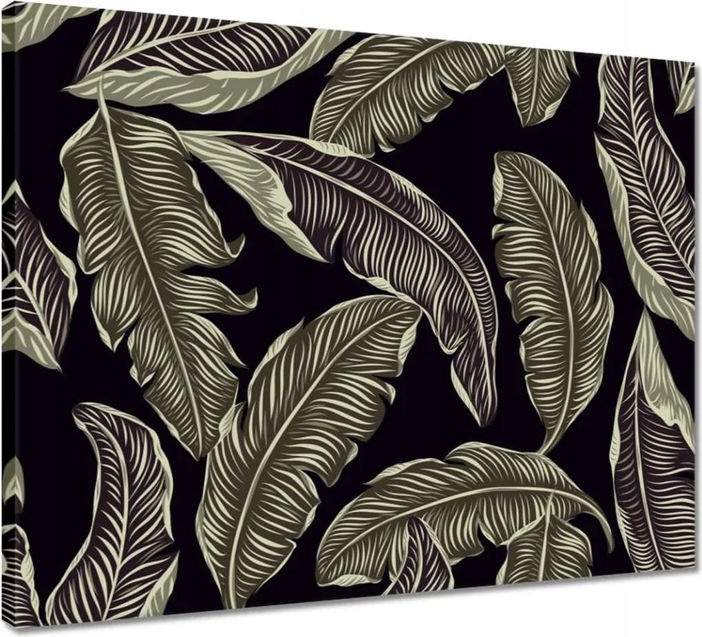 Vászonkép 50x40 Trópusi levelek Levelek