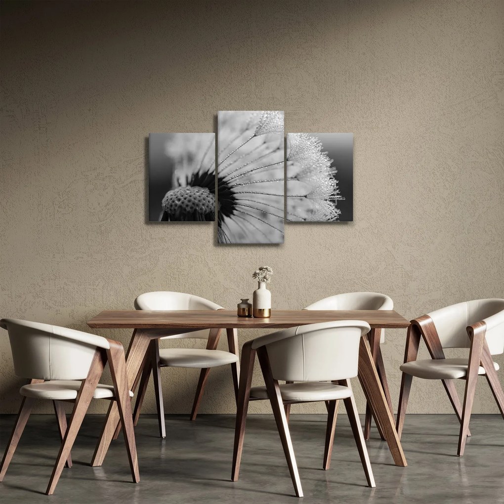 Pitypang képe - fekete fehér (90x60 cm)