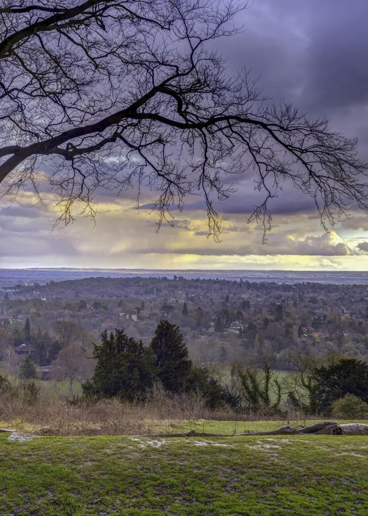 Poszter 50x70cm Reigate Hill 2, Assaf Frank