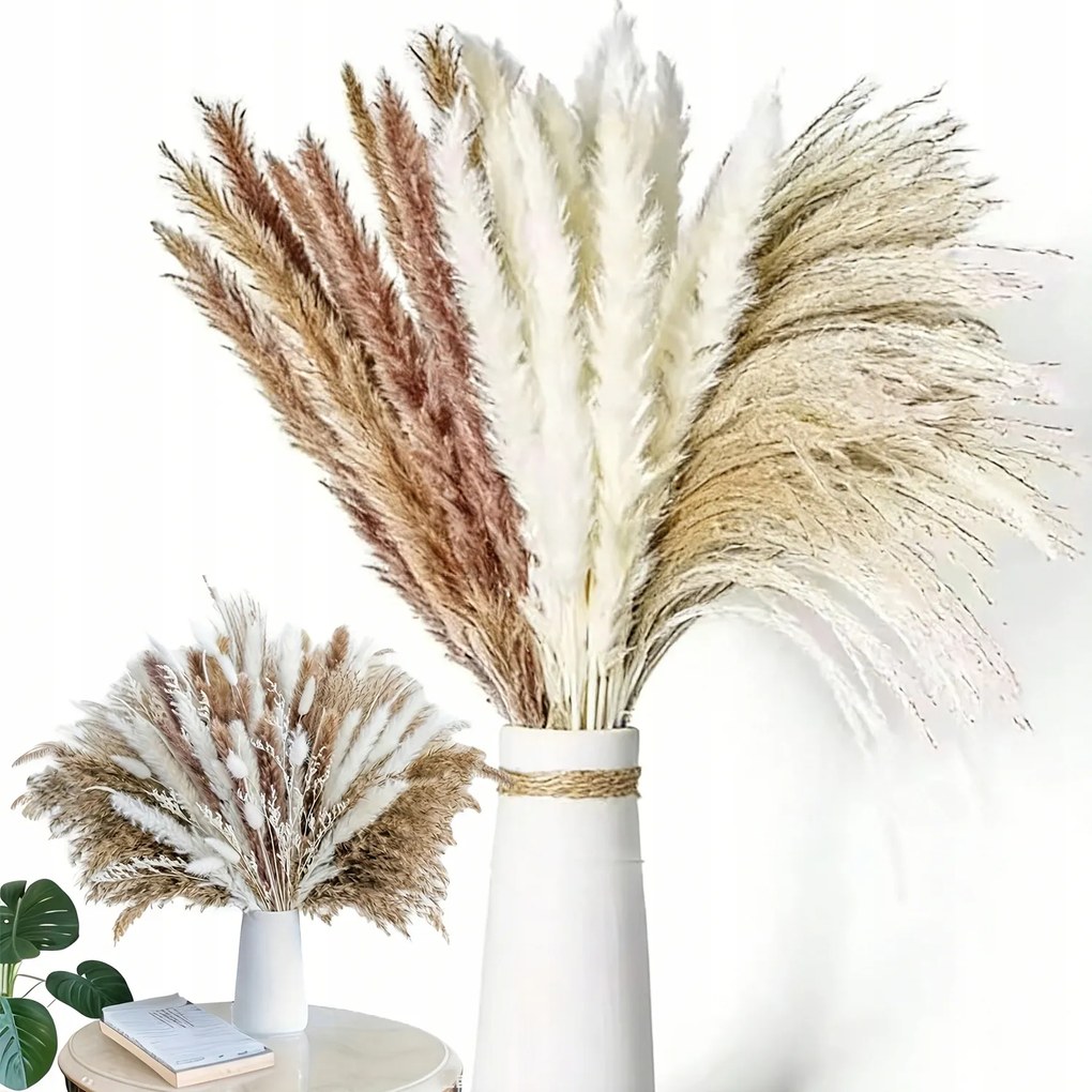 Pampas fű szárított Premium Lux bézs 40cm váza Száraz fű