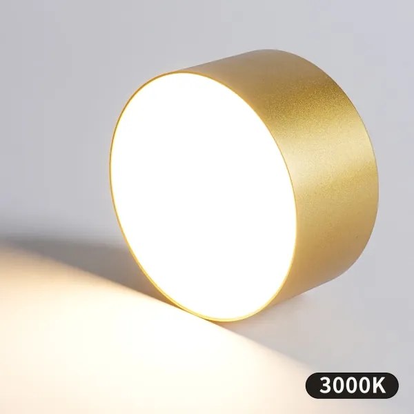 BRILAGI -LED Fürdőszobai mennyezeti lámpatest FORIS LED/20W/230V átmérő 15 cm aranyszínű IP44