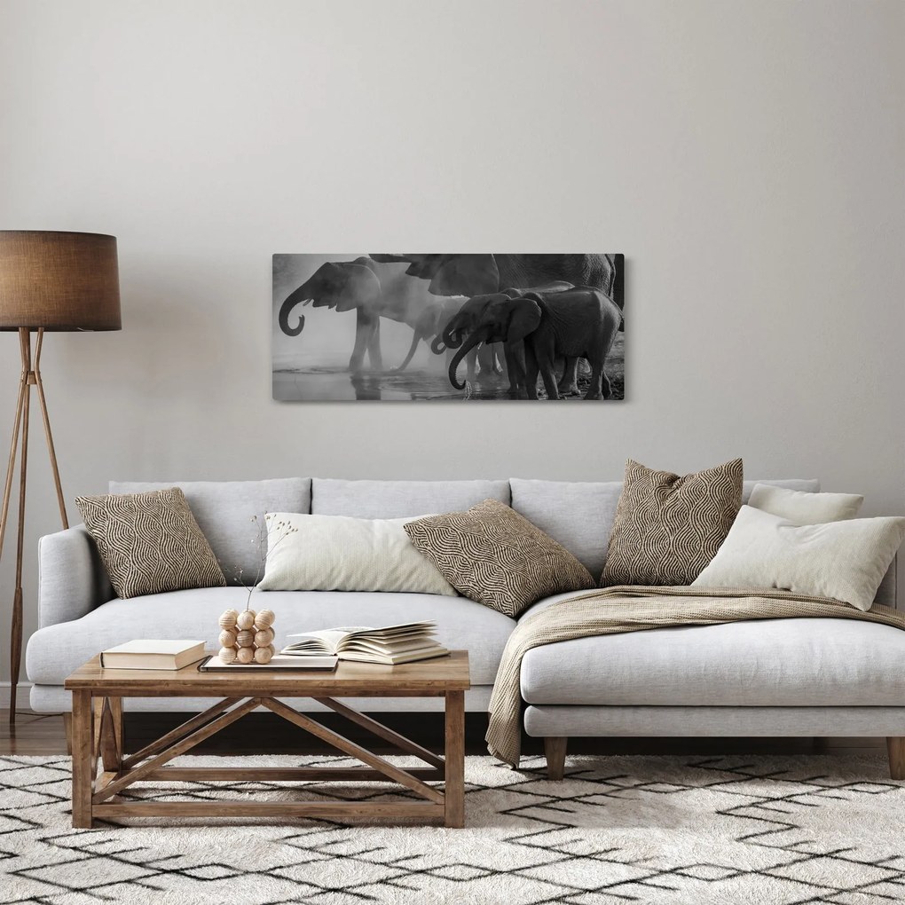 Elefánt képe - fekete fehér (120x50 cm)