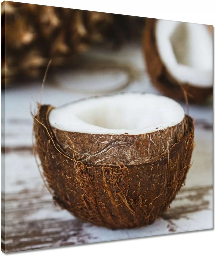 Vászonkép 50x50 Kókuszdió Bronz