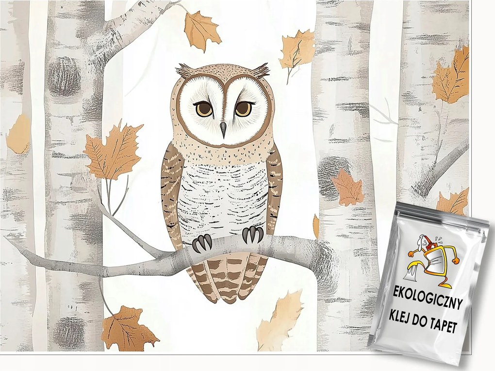 Fotótapéta Gyerekeknek Bagoly Fák Erdő Tapéta Gyerekszoba 350x250