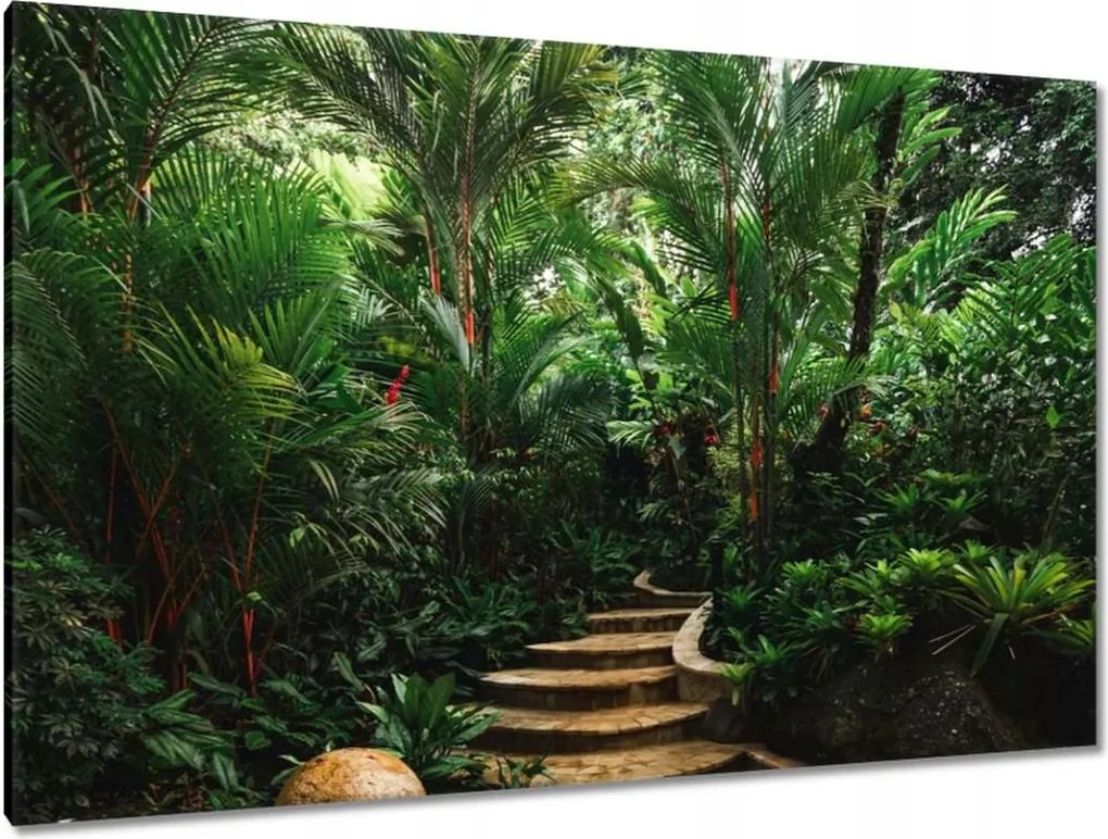 Festmények 120x80 Trópusi golyók