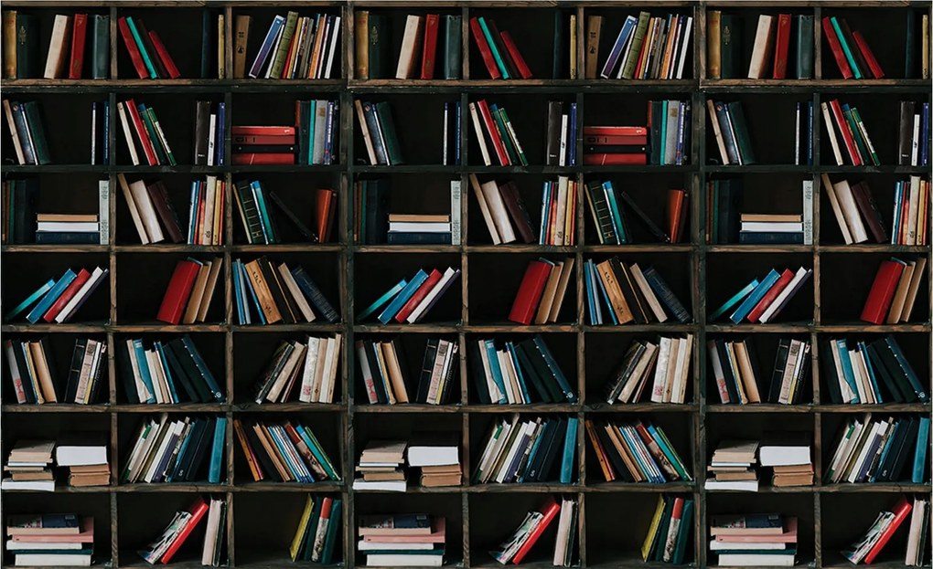 Fotótapéta Flizelin Könyvespolc 368x254 +ragasztó