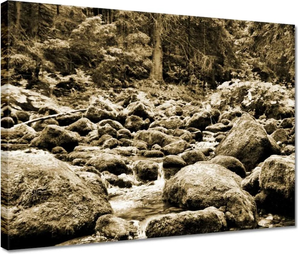 Vászonkép 40x30 Tátra Lengyel hegyek Kilátás