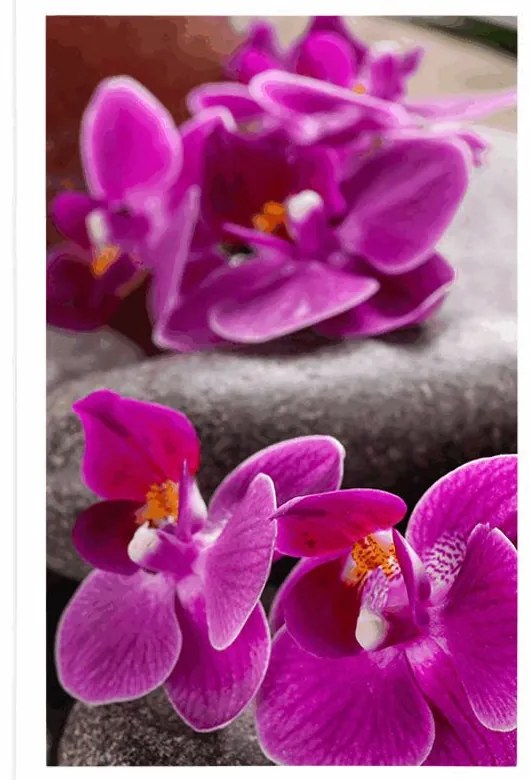 Poszter csodás kövek Zen és orchidea