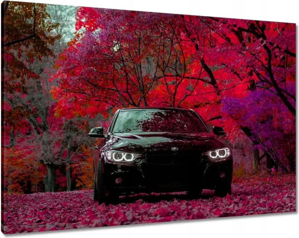 Vászonkép 100x70 Fekete Bmw Ősz